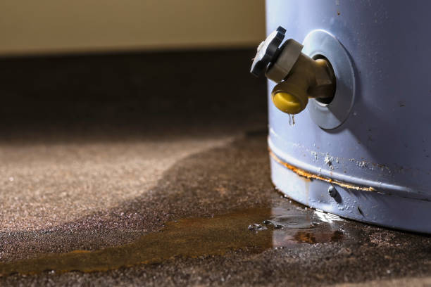 Best Fire Damage Restoration  in Evans, CO