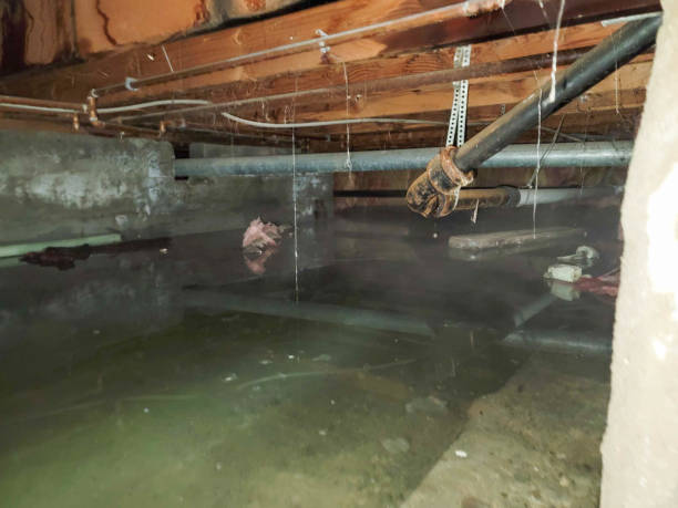 24/7 water damage repair in Evans, CO