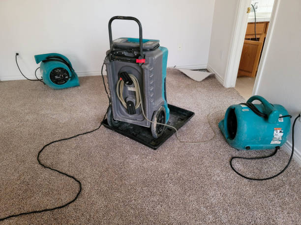 Best Emergency water damage restoration  in Evans, CO