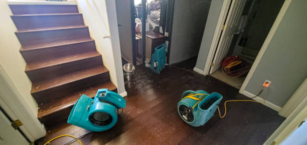 Best Water damage restoration services  in Evans, CO
