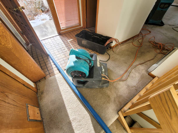 Reliable Evans, CO Water damage restoration Solutions