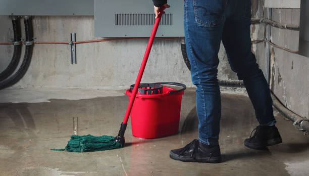 Best 24-hour water damage restoration  in Evans, CO