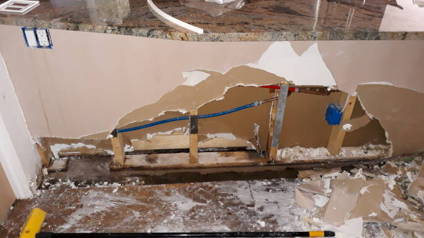 Best Basement water damage restoration  in Evans, CO