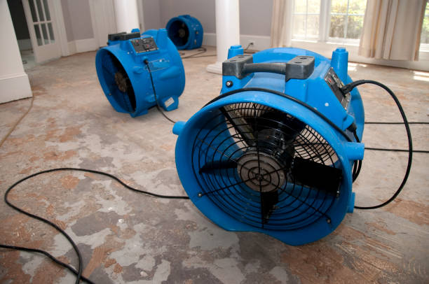 Sewage cleanup and water damage restoration in Evans, CO