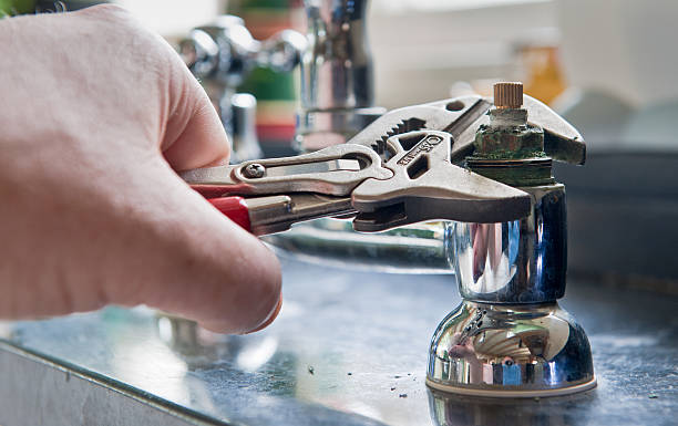 Best Professional water damage repair  in Evans, CO