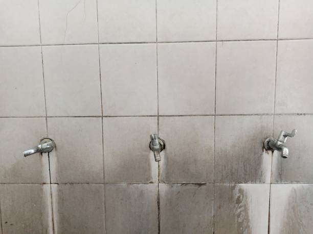Best Local water damage restoration  in Evans, CO