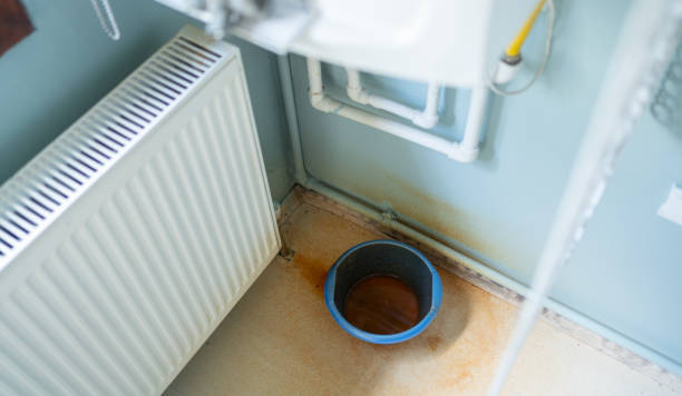 Best Flooded house restoration  in Evans, CO
