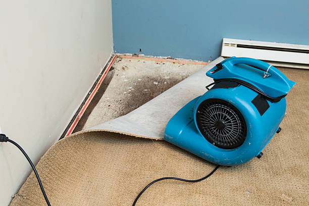Best Ceiling water damage repair  in Evans, CO